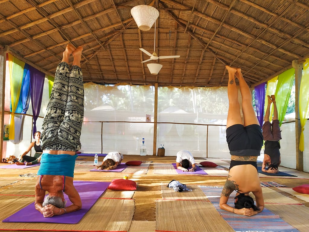 kundalini yoga training india